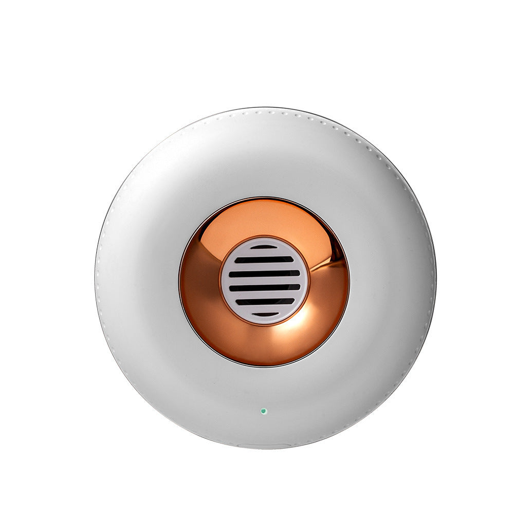 The Rechargeable Ozone Purifier | For Fridge, Closets & More