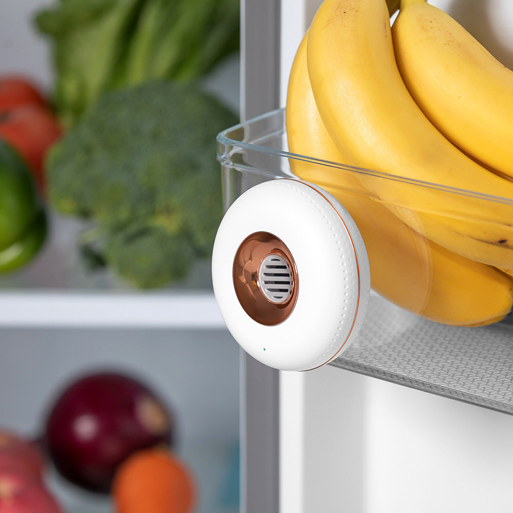 The Rechargeable Ozone Purifier | For Fridge, Closets & More