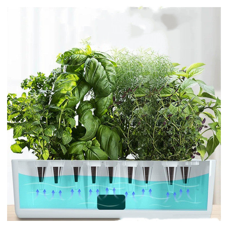 The Smart Hydroponic Garden | Indoor LED Herb & Veggie Planter