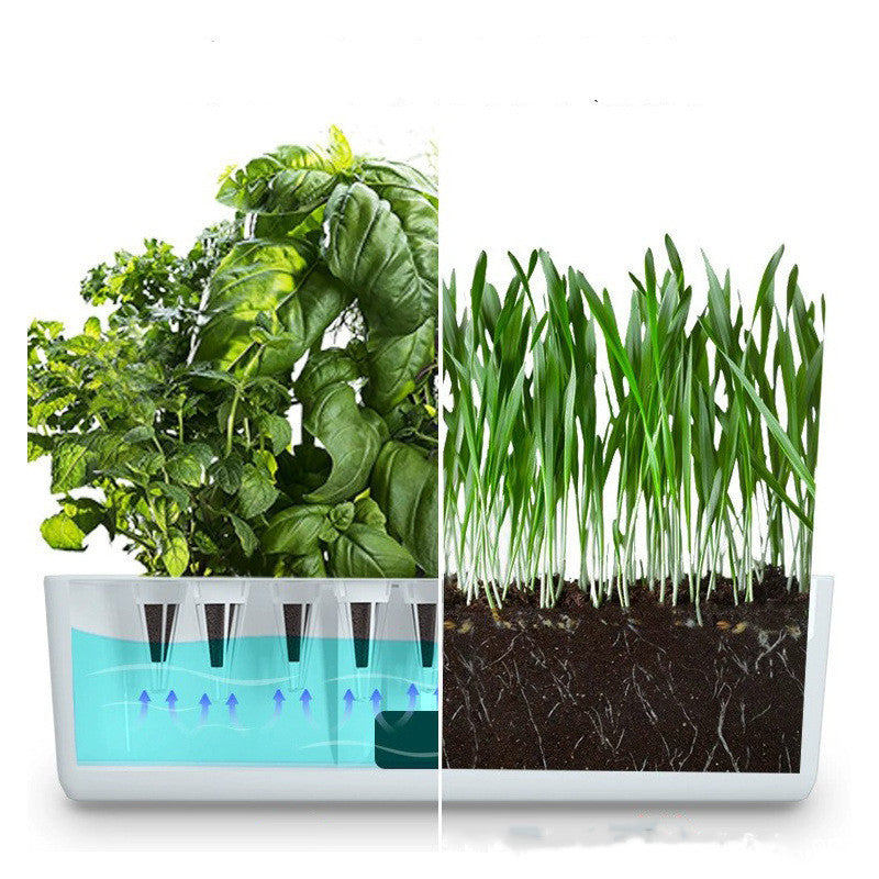 The Smart Hydroponic Garden | Indoor LED Herb & Veggie Planter